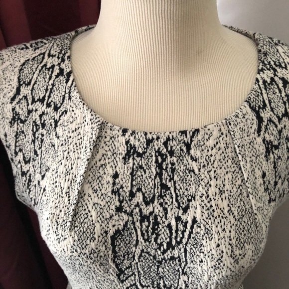 Calvin Klein Dress Black and White Animal Print Dress Size 8P - Picture 2 of 10